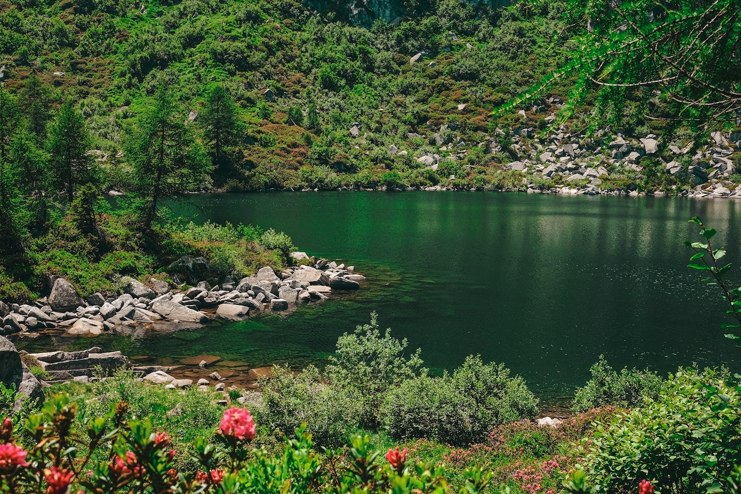 Why Immersive Outdoor Experiences Enhance Well-Being
